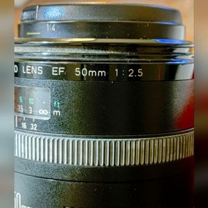 Canon EF Macro 50mm/2.5 + Life-size converter